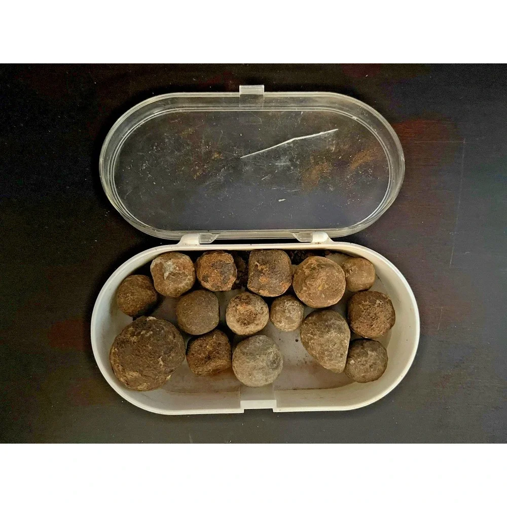 Civil War Era Grape Shot Canister Lot of‎ 15~1.60 lbs-South Carolina Recovery